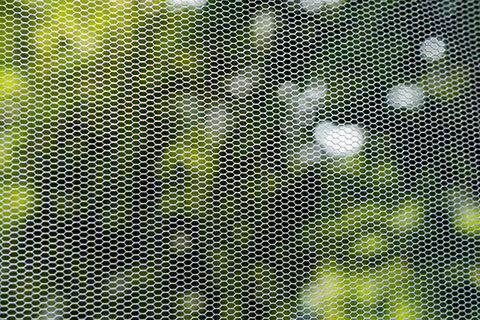 Read more about the article Anti-Insect Netting