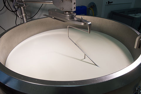 Read more about the article Chymosin Market Strategy