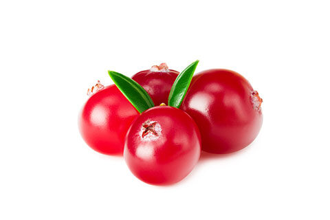Read more about the article Cranberry Polyphenols