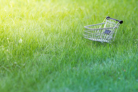 Read more about the article Food, Consumers and Environmental Labelling