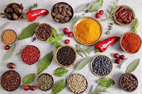 Experienced food ingredients strategy consultants delivering authentic insight combined with intellectual rigour and commercial understanding.