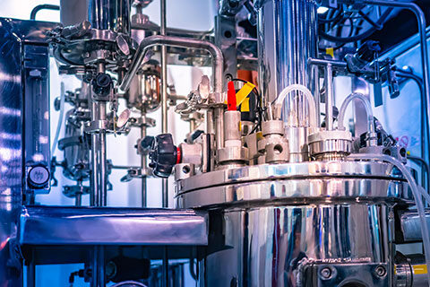 Read more about the article Genetic Engineering and Sweeteners