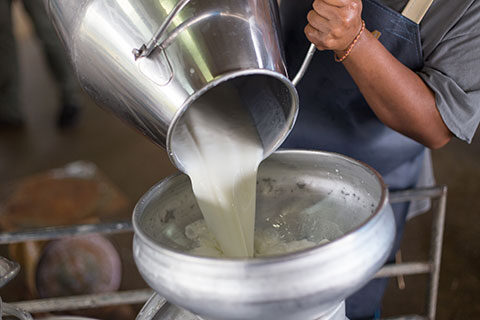 Read more about the article Health Ingredients from Starter Cultures