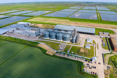 Read more about the article Industrial Gas Opportunities in Agriculture