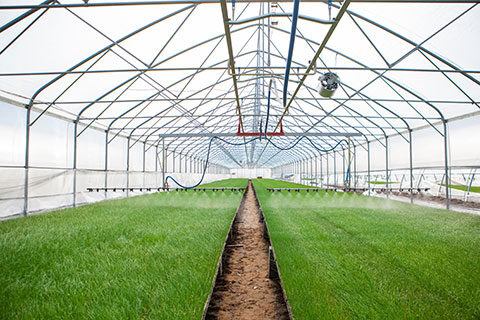 Read more about the article Integrated Pest Management Companies