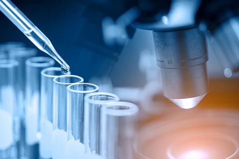 Read more about the article Market-Focussed R&D Review