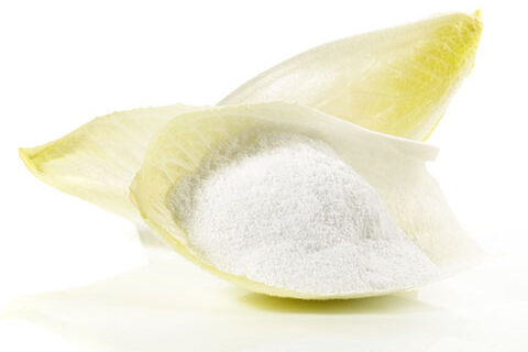 Read more about the article Fructo-oligosaccharides (FOS) Market