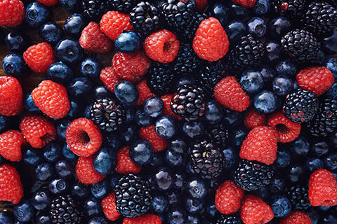 Read more about the article Strategic Planning for a Nutraceutical Plant Extract Business