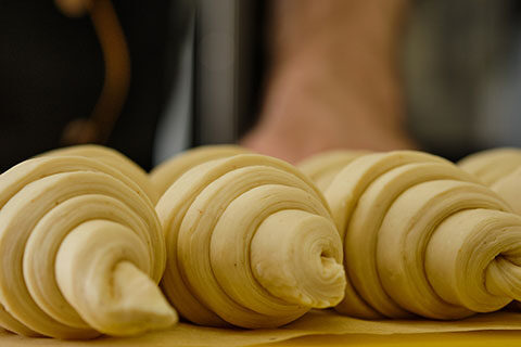 Read more about the article Technology for Saturated Fat Reduction