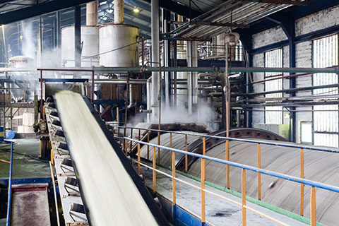 Read more about the article EU Sugar Industry