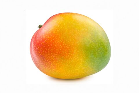 Read more about the article Postharvest Edible Food Coatings