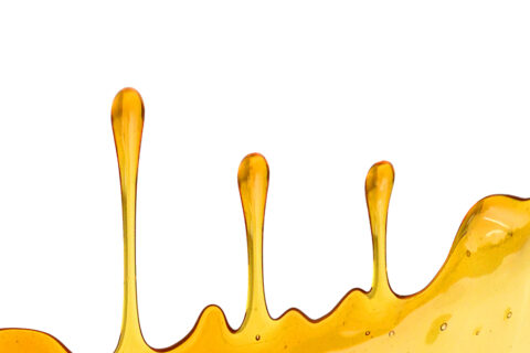 Read more about the article Edible Oils and Specialty Fats Market